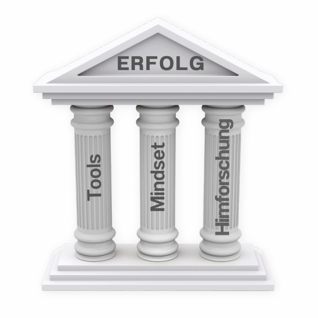 Schaubild: 3 Erfolgssäulen